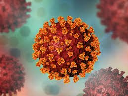 New COVID variant identified: Health ministry issues advisory, no need to panic
